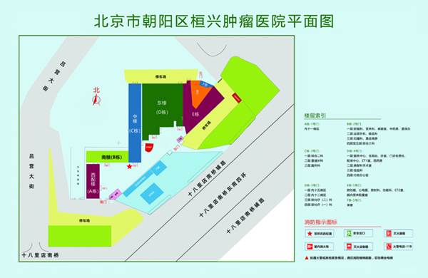 插骚逼逼视频免费视频北京市朝阳区桓兴肿瘤医院平面图